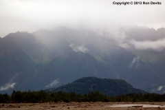 DSC_0190-copyright