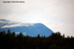 DSC_0197-copyright