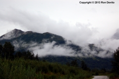 DSC_0199-copyright