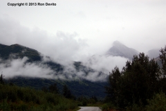 DSC_0200-copyright