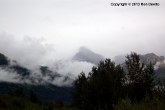 DSC_0201-copyright