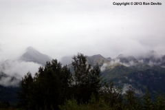 DSC_0202-copyright