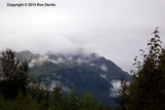 DSC_0203-copyright