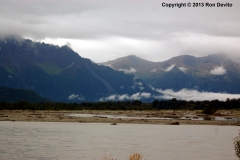 DSC_0207-copyright