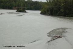 DSC_0208-copyright
