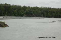 DSC_0209-copyright