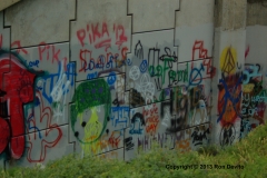 DSC_0210-copyright