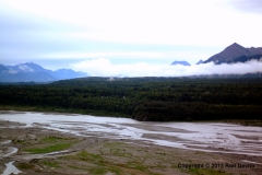 DSC_0002-copyright