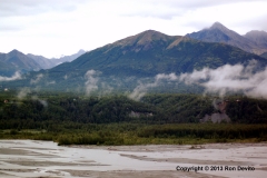 DSC_0004-copyright