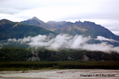 DSC_0006-copyright