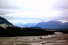 DSC_0007-copyright