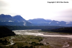 DSC_0012-copyright