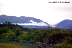DSC_0014-copyright