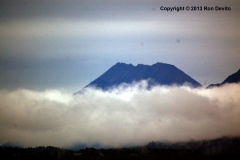 DSC_0016-copyright