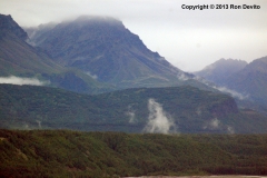 DSC_0029-copyright