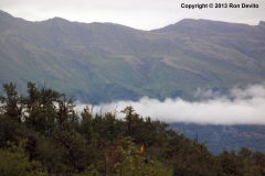 DSC_0034-copyright