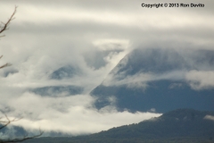 DSC_0058-copyright