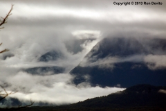 DSC_0058a-copyright