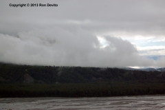 DSC_0064-copyright