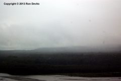 DSC_0070-copyright