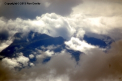 DSC_0084-copyright