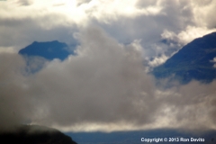 DSC_0093-copyright