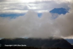 DSC_0094-copyright