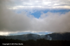 DSC_0095-copyright