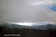 DSC_0096-copyright