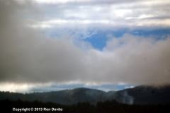 DSC_0098-copyright