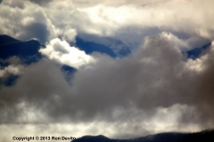 DSC_0102-copyright