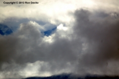 DSC_0103-copyright