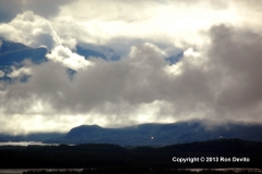 DSC_0104-copyright