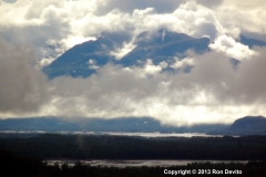 DSC_0105-copyright