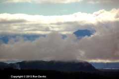 DSC_0106-copyright