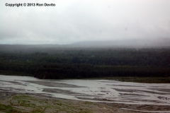 DSC_0112-copyright