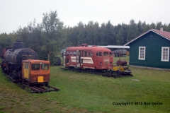 DSC_0265-copyright