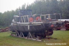 DSC_0271-copyright