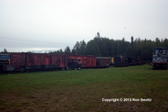 DSC_0274-copyright