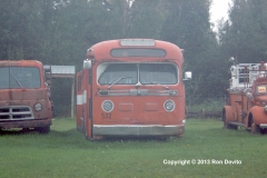 DSC_0277-copyright
