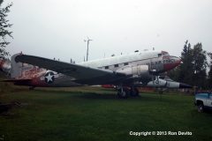 DSC_0284-copyright