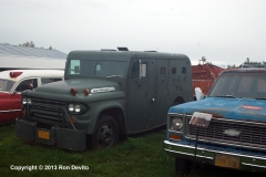 DSC_0286-copyright