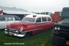 DSC_0287-copyright