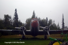 DSC_0290-copyright