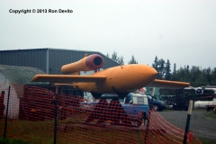 DSC_0298-copyright