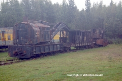 DSC_0304-copyright