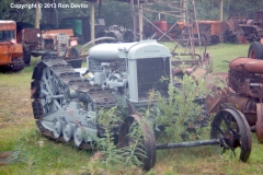 DSC_0306-copyright