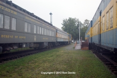 DSC_0310-copyright
