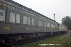 DSC_0311-copyright
