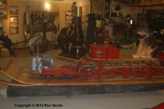 DSC_0323-copyright